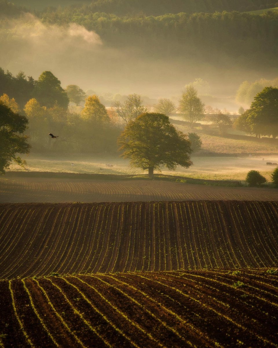 Spring in the Eden Valley. A lovely time to be down there