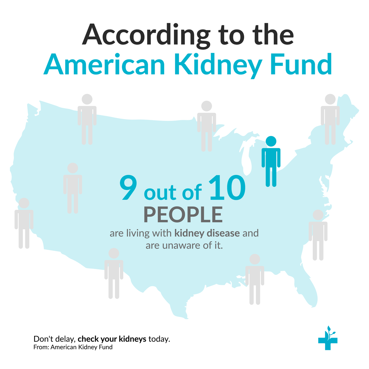 CarmenHealth's tweet photo. Have you gotten tested yet? Remember! Kidney disease is a silent and the fastest-growing noncommunicable disease.

Don't delay, check your kidneys today. Visit Carmen [kidney] HEALTH for more.

#CarmenKidneyHealth #CKD #KidneyDisease #KidneyCheck https://t.co/4KHzg6dj66