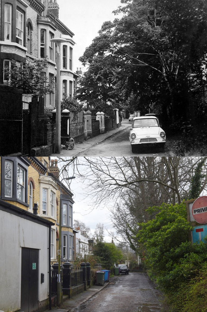 Hadassah Grove, off Lark Lane, 1969 and 2024