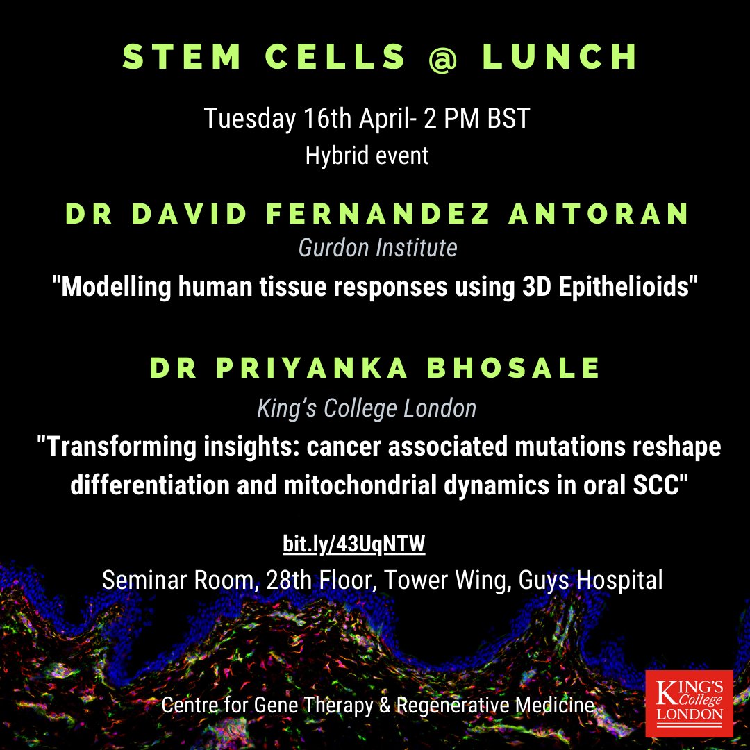 Please join us for next stem cells @ Lunch on Tuesday 16th April 2PM BST, we are looking forward to hear some exciting research from Dr David Fernandez-Antoran (@AntoranLab) and Dr Priyanka Bhosale (@drPriyankaB_) !! See you in person (28th floor, Guys Tower) or online !!!👇