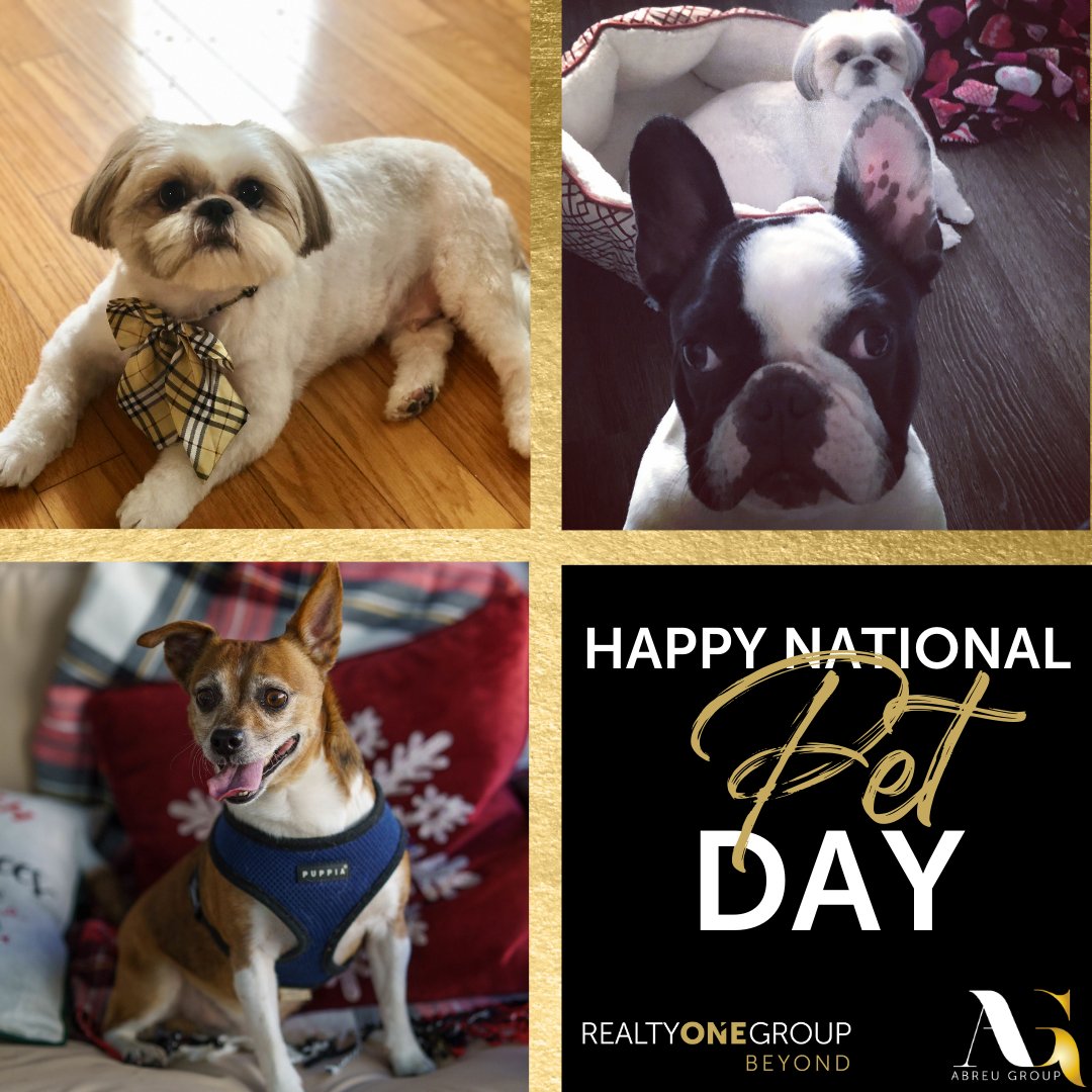 🐾 Happy National Pets Day! 🐾 Whether they're cozying up in a new home or exploring the backyard, our furry friends bring joy to every corner of Tampa Bay. Let's celebrate the unconditional love they bring to our lives! 🏡❤️ 

#NationalPetsDay #TampaBayRealty #AbreuGroup