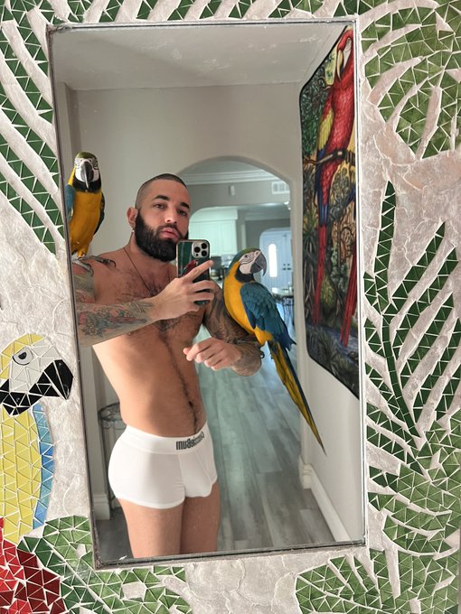 We love our new mirror 🪞 🦜 https://t.co/hs5Ez2VlHV