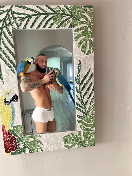 We love our new mirror 🪞 🦜 https://t.co/hs5Ez2VlHV