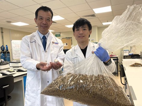 Cheers to #NTUsg scientists' new method of extracting #antioxidant-rich proteins from #beer-brewing leftovers, an innovation that promises to reduce food waste and enhance food security. ntu.sg/BSG-proteins

#NTUsgResearch #NTUsgInnovation #NTUsgSustainability #NTUsg2025…