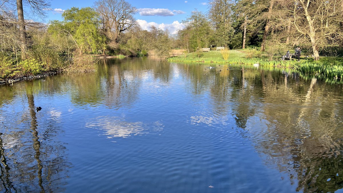 Personally, this is my favourite from ⁦<a href="/kewgardens/">KewGardens</a>⁩, try turning it upside down! Somewhat trippy!