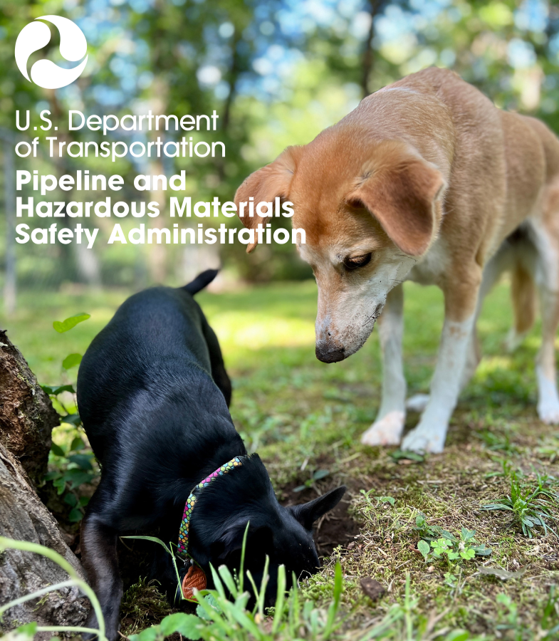 🚧Don’t leave your friends hanging! Tell them that April is #NationalSafeDiggingMonth! Safety is in your hands. Every dig. Every time. #Call811 #NationalPetDay Learn more at bit.ly/450vX0n