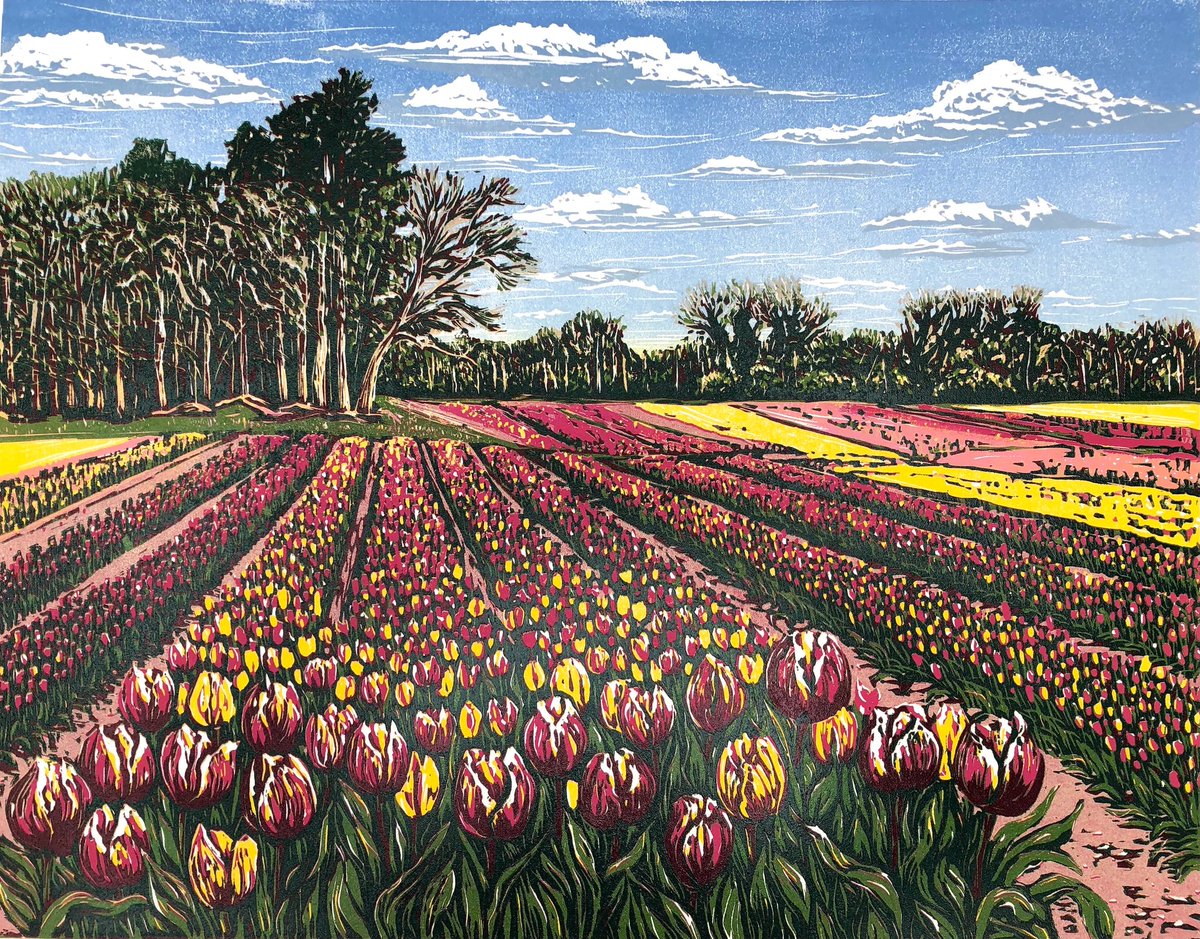 'Tulip Splendour' by contempory UK printmaker Louise Stebbing #WomensArt