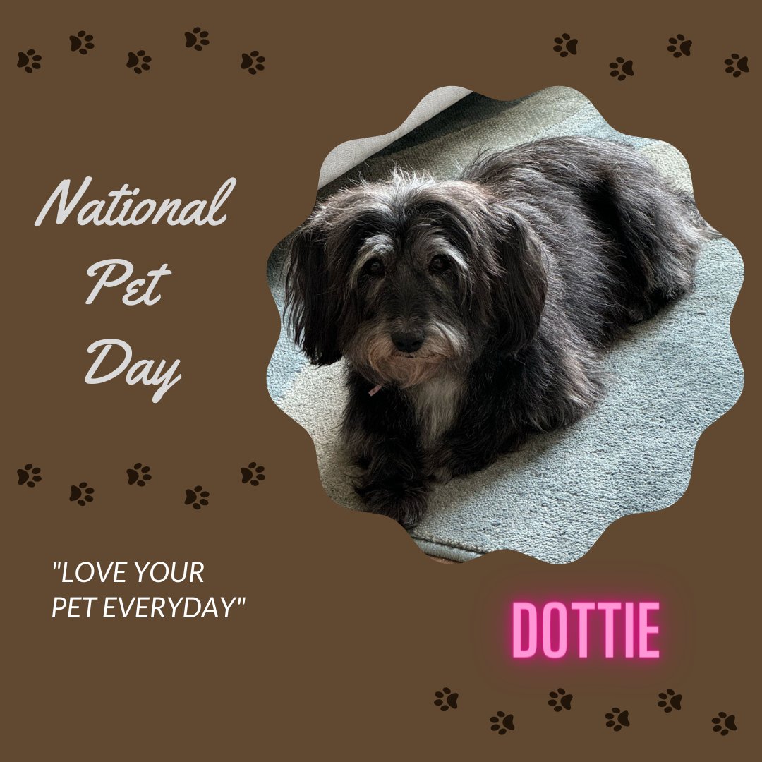 Let's show our appreciation for all the snuggles, the playtime, and the unconditional love that our pets have given us every single day. 

#NationalPetDay #LoveOurPets #FurFamily #AdoptDontShop #PetLove #PetAppreciation #AnimalCompanions #FurryFriends #UnconditionalLove