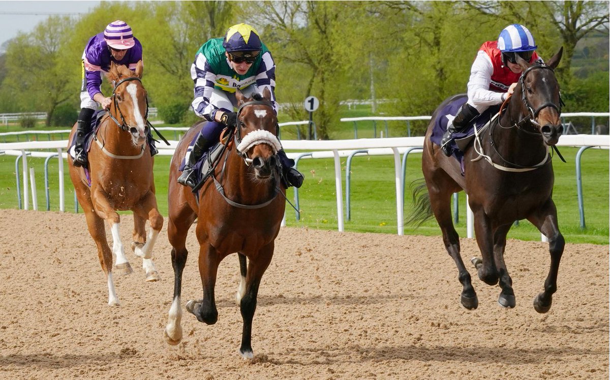 Southwell_Races tweet picture