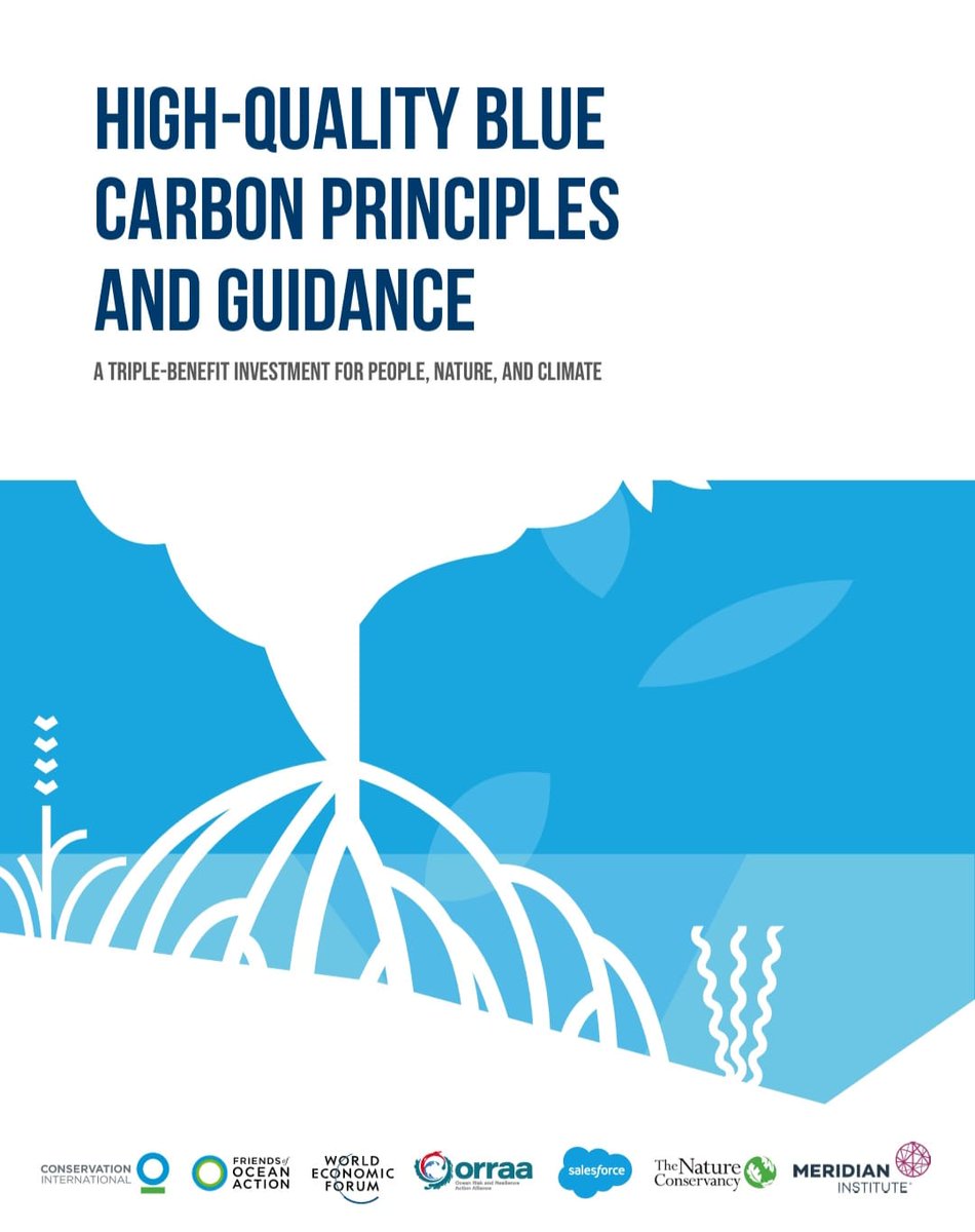🙌 Another exciting day at the #OceanDecade24! Today, we're attending an interactive workshop, High-Quality #BlueCarbon Principles and Guidance, with @ORRAAnews and @ConservationOrg. Looking forward to learning more about adaptive management and best practices🌳