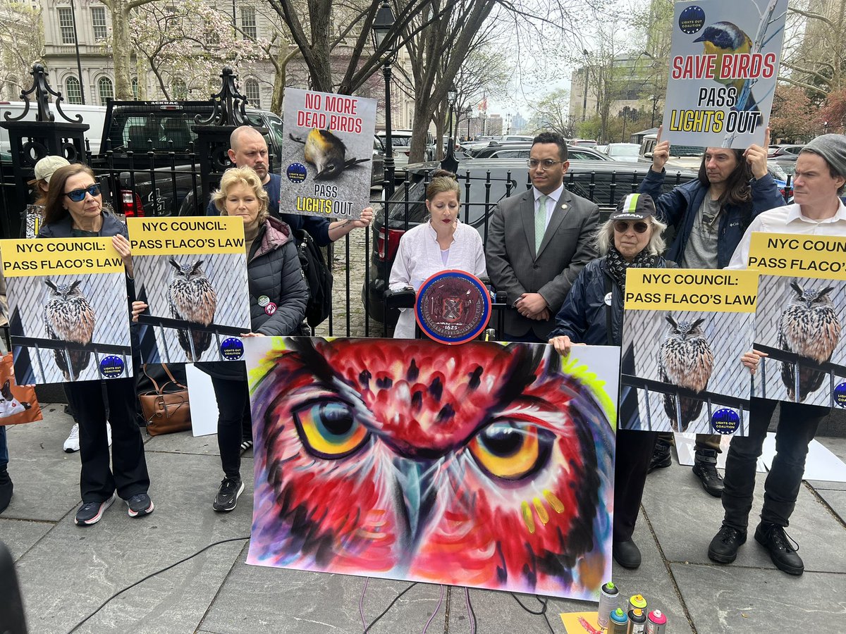 The goal of Flaco’s Law is to reduce bird deaths by introducing non-rodenticide ways to mitigate rats and requiring more buildings turn their lights off at night so birds don’t fly into them - thecity.nyc/2024/03/25/tur… thecity.nyc/2019/10/02/cit…