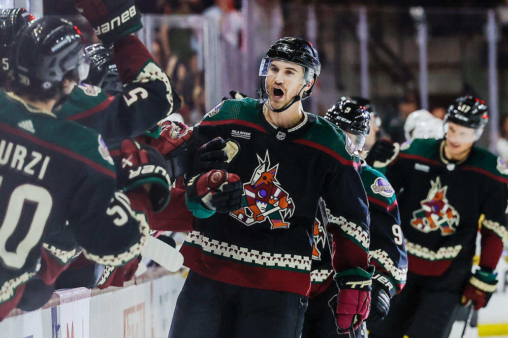 Crowdsourcing: The Salt Lake Coyotes> Yea or Nay? Post comments as @ reply or in my blog on Hockeybuzz.com