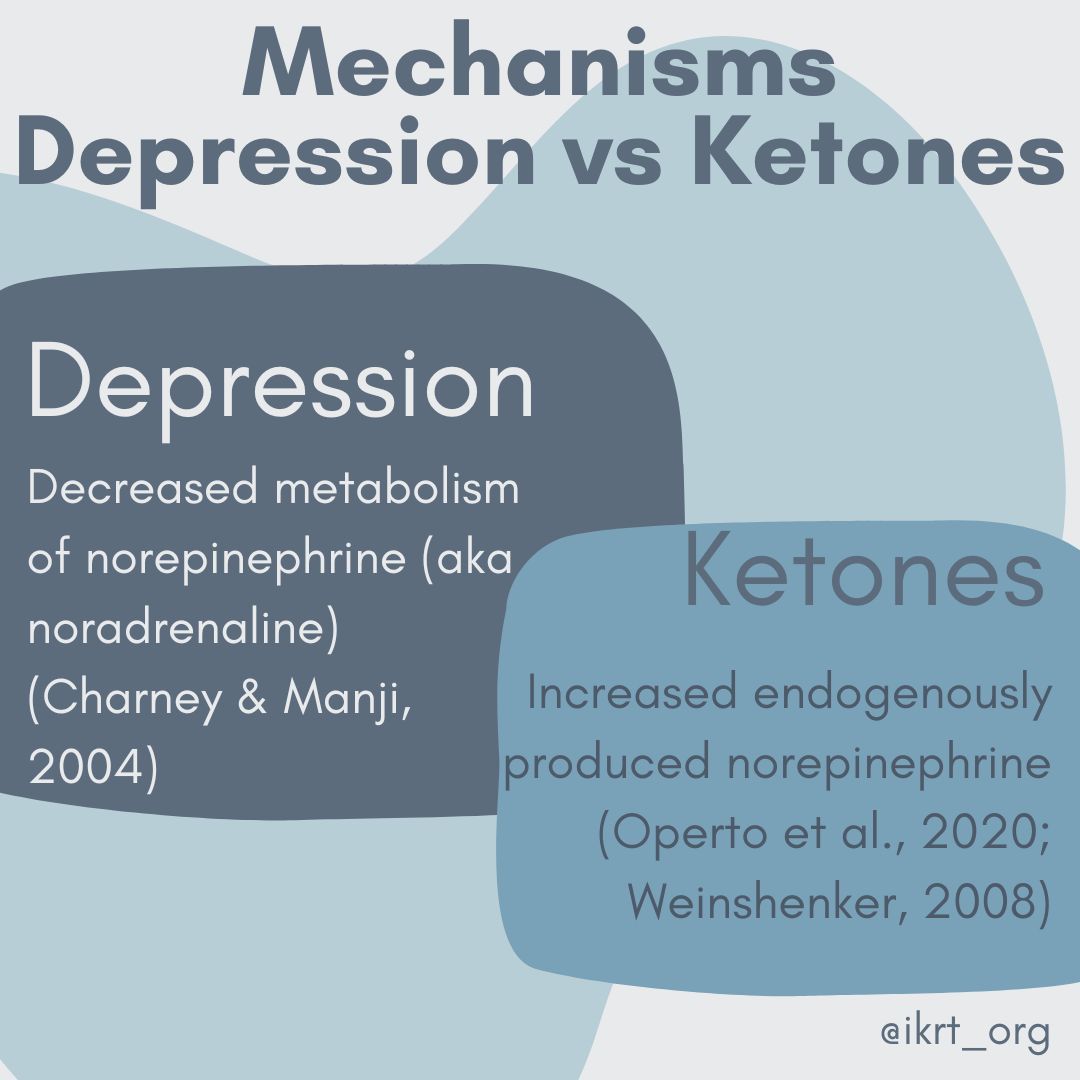 Next up in mechanisms of #depression vs #ketones, norepinephrine metabolism is decreased in depression but production is increased in ketosis. #KMTmechanisms #metabolicpsychiatry #ketoformentalhealth #ketodiet #MentalHealthMatters