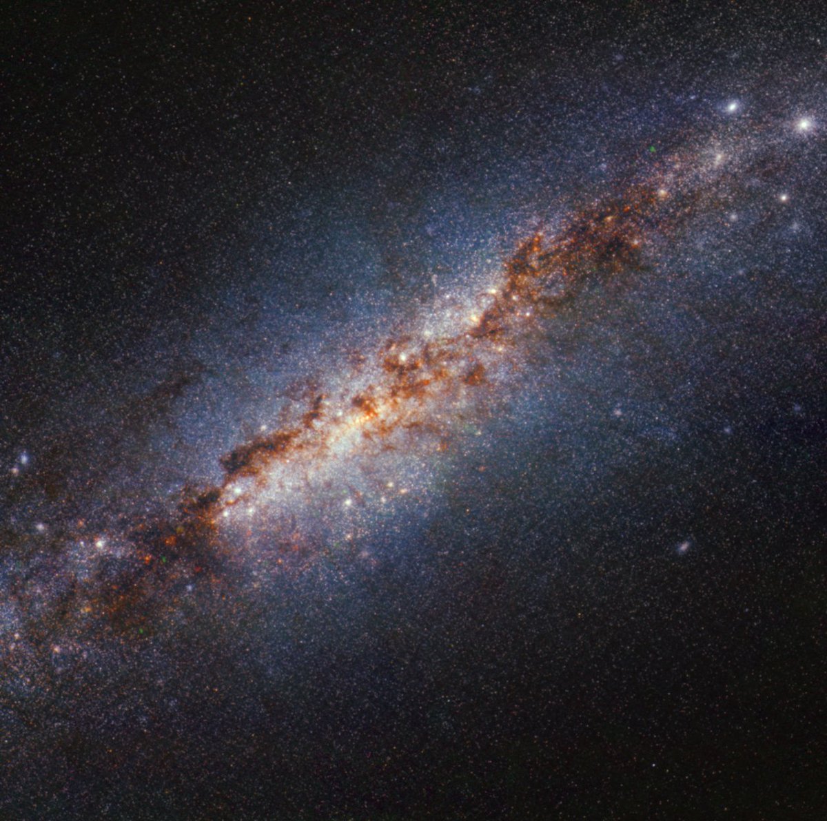 Now that’s a sky full of stars! Each one of those tiny white dots is a star. Starburst galaxy M82 sprouts new stars 10 times faster than our Milky Way. @NASAWebb caught this view using its infrared vision. Learn more: go.nasa.gov/4cPE9F9