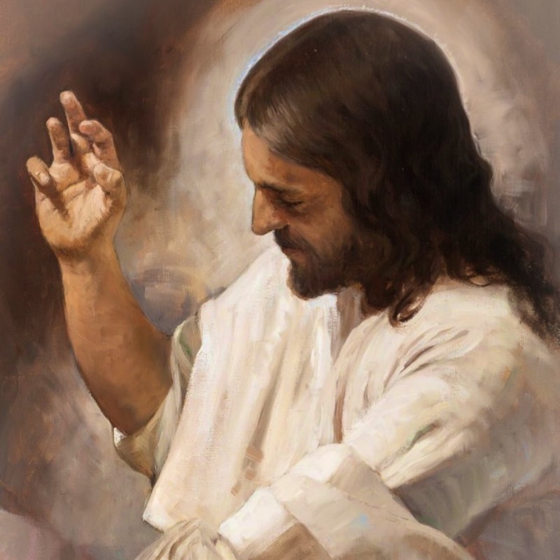 Reina_de_la_Paz's tweet photo. Mírame Señor que te quiero amar
Mírame que con lágrimas te pido sanar, todas las heridas de mis cruces, producto de mi andar.
No apartes tu mirada de mi, no me abandones en la tempestad y mucho menos en la dificultad. 
Enséñame a ser como tú, lleno de humildad.
Amén 🙏🏻 https://t.co/MIpOSkGE3U