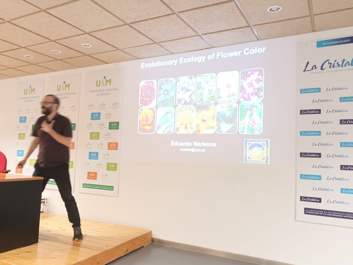 Eduardo Narbona from Universidad Pablo Olavide is introducing us to their work on the evolution of floral color patterns