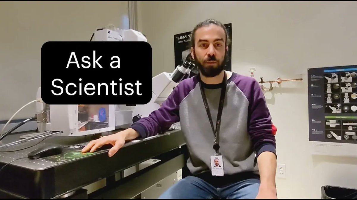 What is a microscopy, and how is it used in the lab? Imaging specialist Asier Marcos answers our latest #AskaScientist question, submitted by a 9th grader in Beverly, MA. wi.mit.edu/bionook/ask-a-…