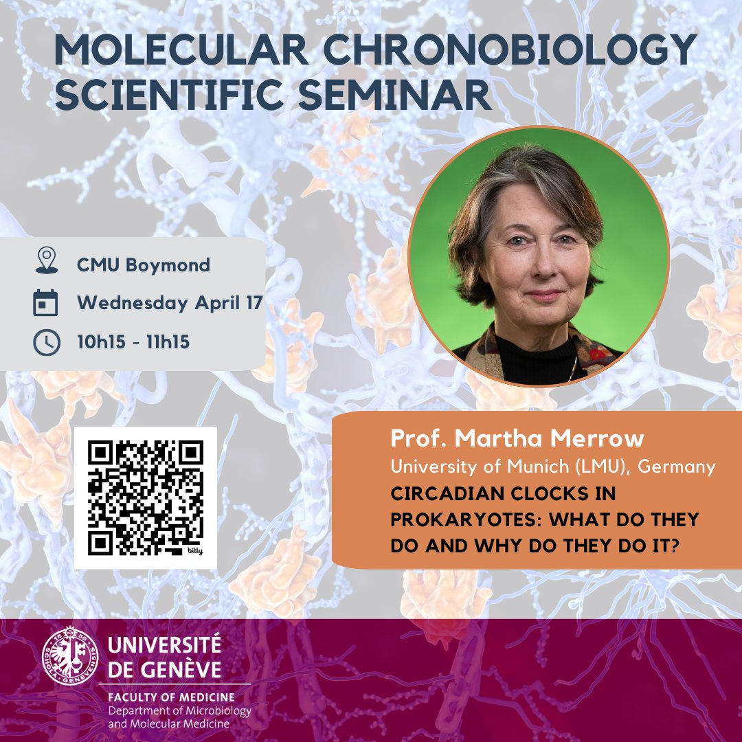 🕰️We are all ruled by our #CircadianClocks! In Pr @MarthaMerrow @LMU_Muenchen Molecular #Chronobiology Lab, they study #CircadianBehavior in simple model systems like #Bacillus subtilis. Fascinated?🌞 Join us! 📍CMU Boymond 🕙10h15 📅 Wed 17 April 👉bit.ly/3VUZwyN