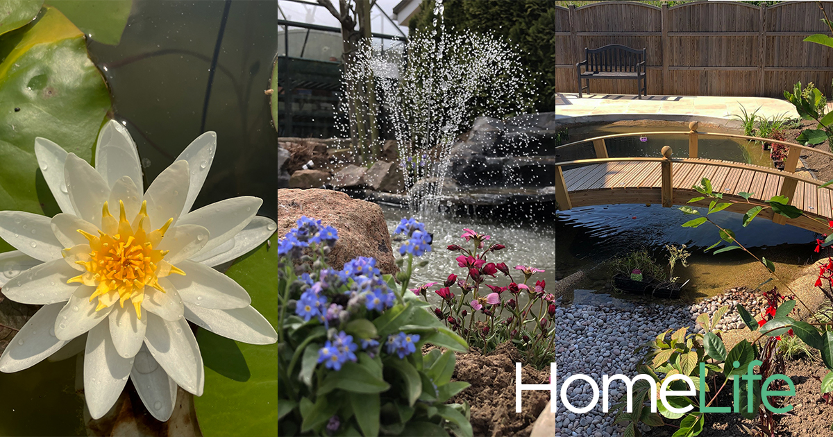 As the days warm up and nature comes to life, it's time to consider the ultimate addition to your outdoor oasis: a water feature. 💦 This month's edition of HomeLife explores ponds and pools that can enhance your outdoor living space brnw.ch/HomeLifeApril2…