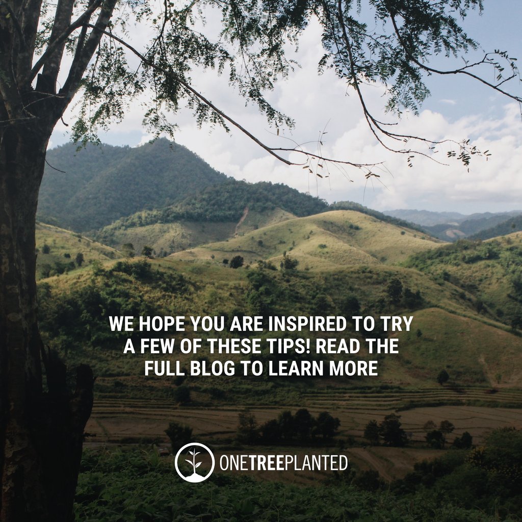 onetreeplanted tweet picture