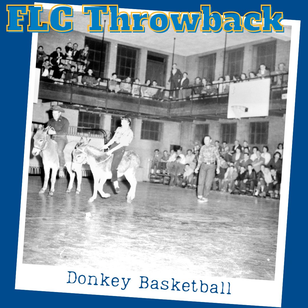 Donkey Basketball at FLC in 1956! 🏀

Throwback Thursday is brought to you by the @centerswstudiesflc and the Delaney Library archives.
If you are interested in learning more about the archives or to see their collections go to
swcenter.fortlewis.edu/learn/library-…
#FLCThrowback #FLCalumni