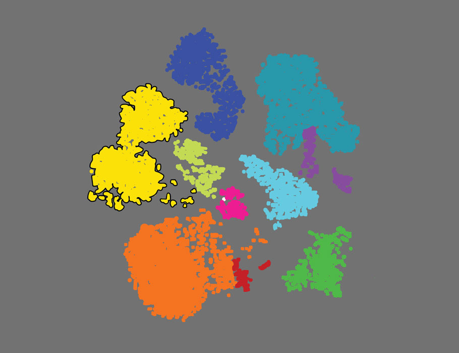 Science Immunology (@sciimmunology) on Twitter photo Environmental factors such as hormonal #contraception affect #endometrial immune cell composition more than genetics, according to a new human twin study. <a href="/karolinskainst/">Karolinska Institutet</a> <a href="/bjorkstrom_lab/">Björkström lab</a>
📄: scim.ag/6yU Environmental factors such as hormonal #contraception affect #endometrial immune cell composition more than genetics, according to a new human twin study. <a href="/karolinskainst/">Karolinska Institutet</a> <a href="/bjorkstrom_lab/">Björkström lab</a>
📄: scim.ag/6yU