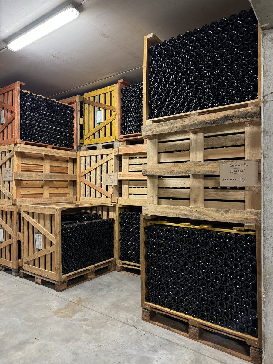 Visite de deux entreprises qui contribuent au dynamisme de l’économie nord-alsacienne :

🏭 L’usine Alsaveur, qui a investi 25 millions d’euros pour créer son site de production à Drachenbronn

🍇 La cave viticole de Cleebourg, qui accueille jusqu’à 50 000 visiteurs par an