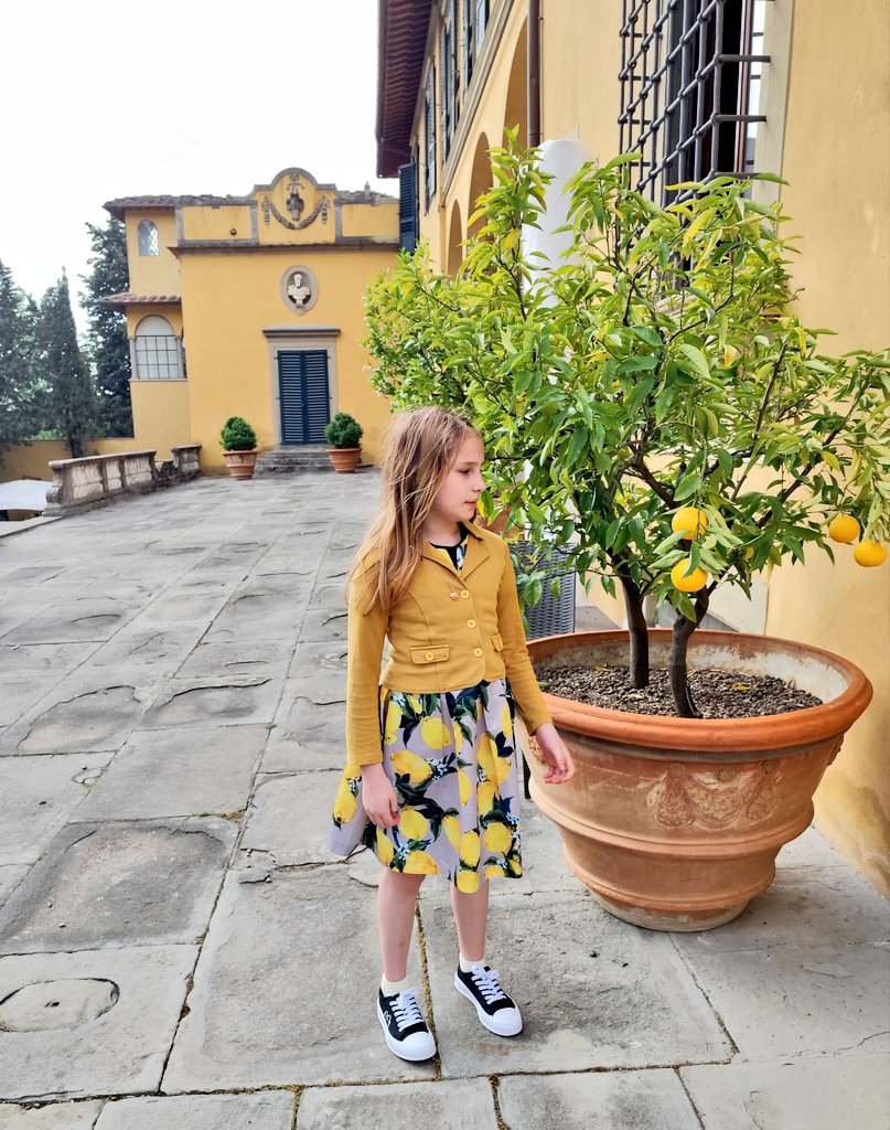 Couldn't wait to unveil 'my' lemon tree in Florence to my daughter, but she took one look and said, 'Mom, this isn't a lemon tree, it's an agrume tree!' This is how you can contradict someone in a diplomatic way! #Florence