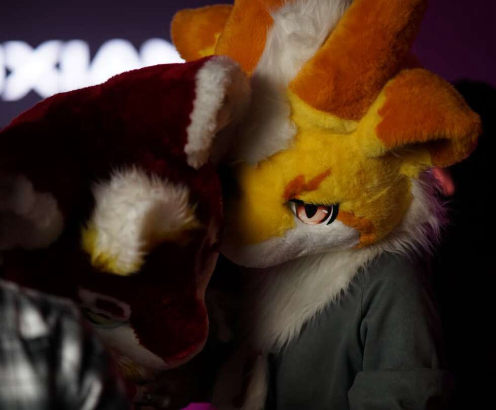 #FursuitFriday 来点毛毛星期五～ 拍摄：@waitzz_