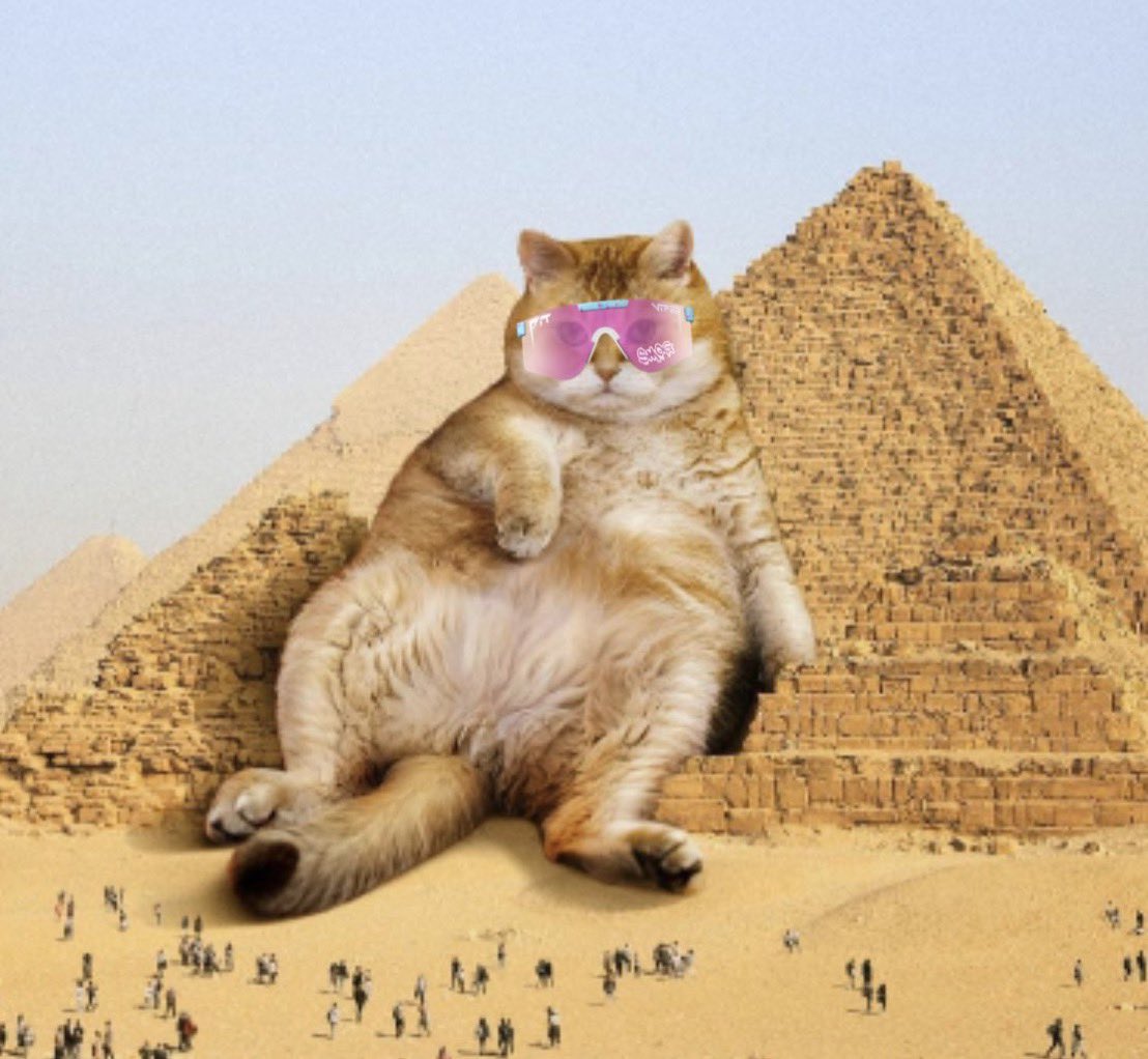 <a href="/Palgrani2/">Palgrani</a> You can ride on this cat