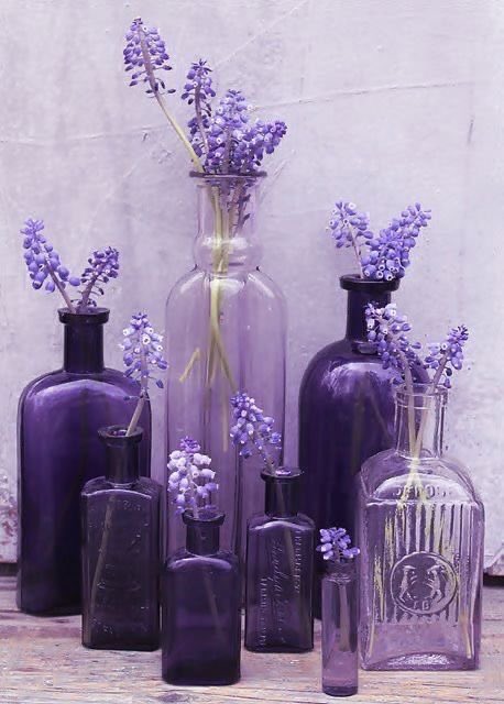 shades of violet.