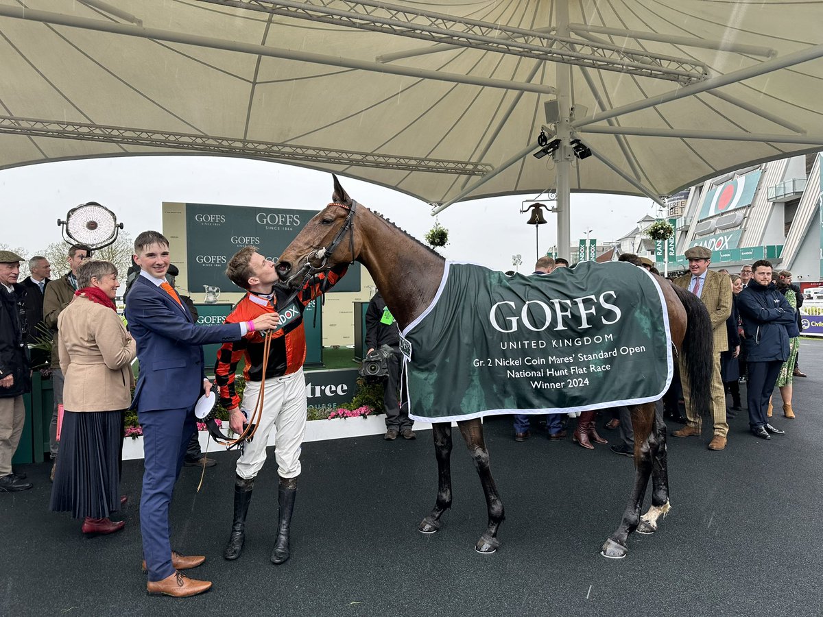 💋 DIVA LUNA - the mare that has made dreams come true! 🌙 Winner of the Grade 2 Goffs Nickel Coin Mares’ NH Flat race #Queen #DivaLuna