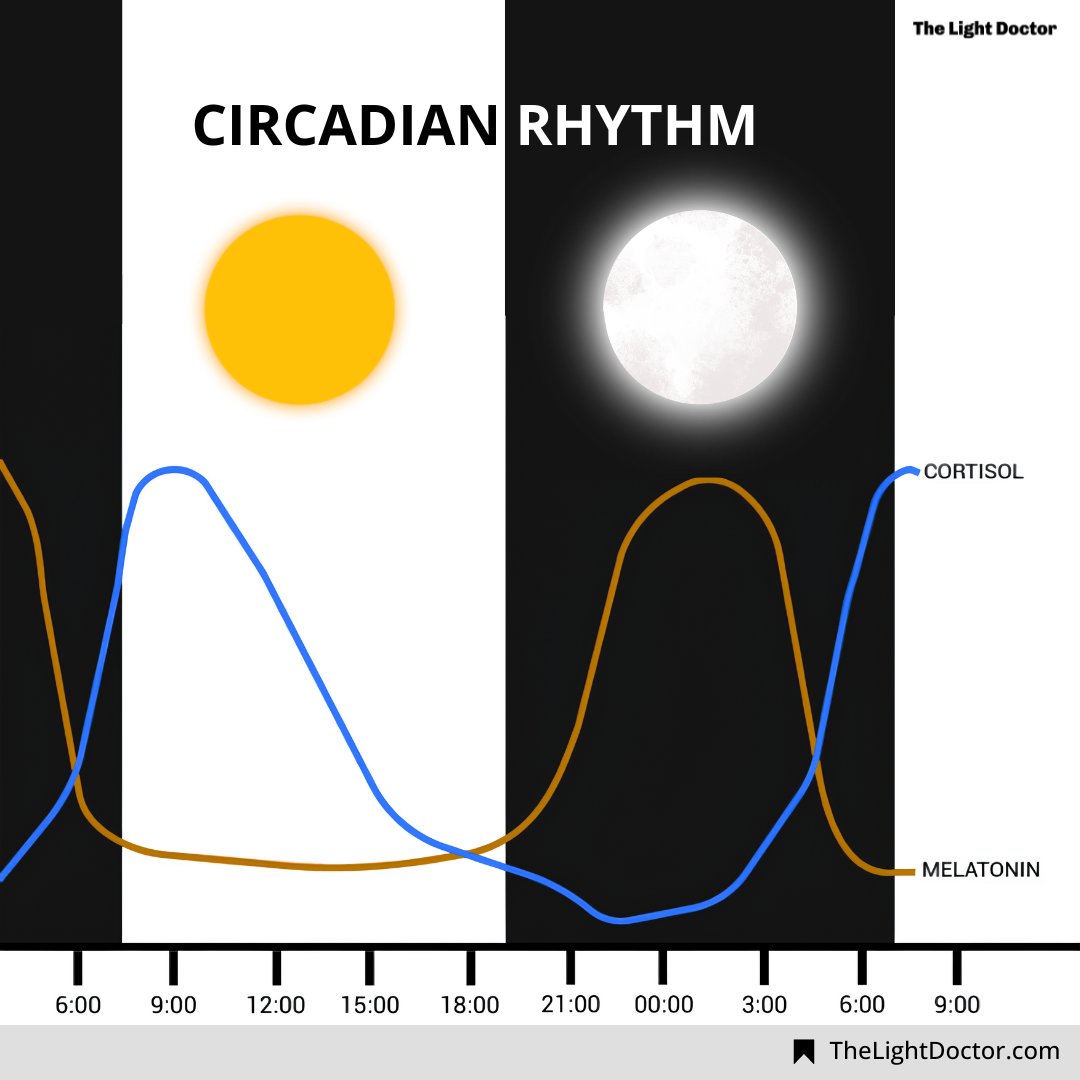 Let there be light, but consider your body's rhythm! 💡⏰ Your circadian rhythm, your body's internal clock, is finely tuned to environmental cues, especially light. LED lighting affects these rhythms, disrupting crucial body timing functions like melatonin production, and…