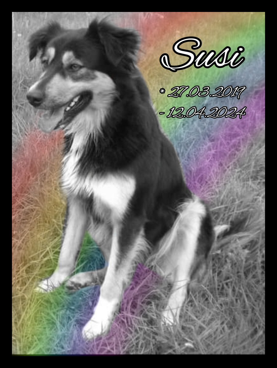 🍁Ziona Aki🍁 tweet media