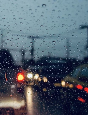 ‘-¿Viajando en coche se hace uno un gran artista?
-Viajando en coche, pero de vuelta a casa.’ Cómo comportarse en le multitud, Camille Bordas