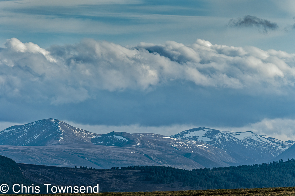 Bynack More & Beinn Mheadhoin today. Warm & windy again. #Cairngorms