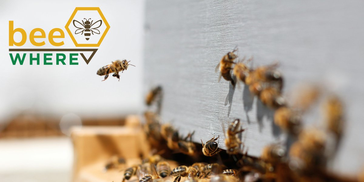 To safeguard beehives, communication is crucial. That's why BeeWhere is designed to improve communication between beekeepers, farmers, and pesticide applicators to protect important pollinators. Learn more: beewherecalifornia.com
