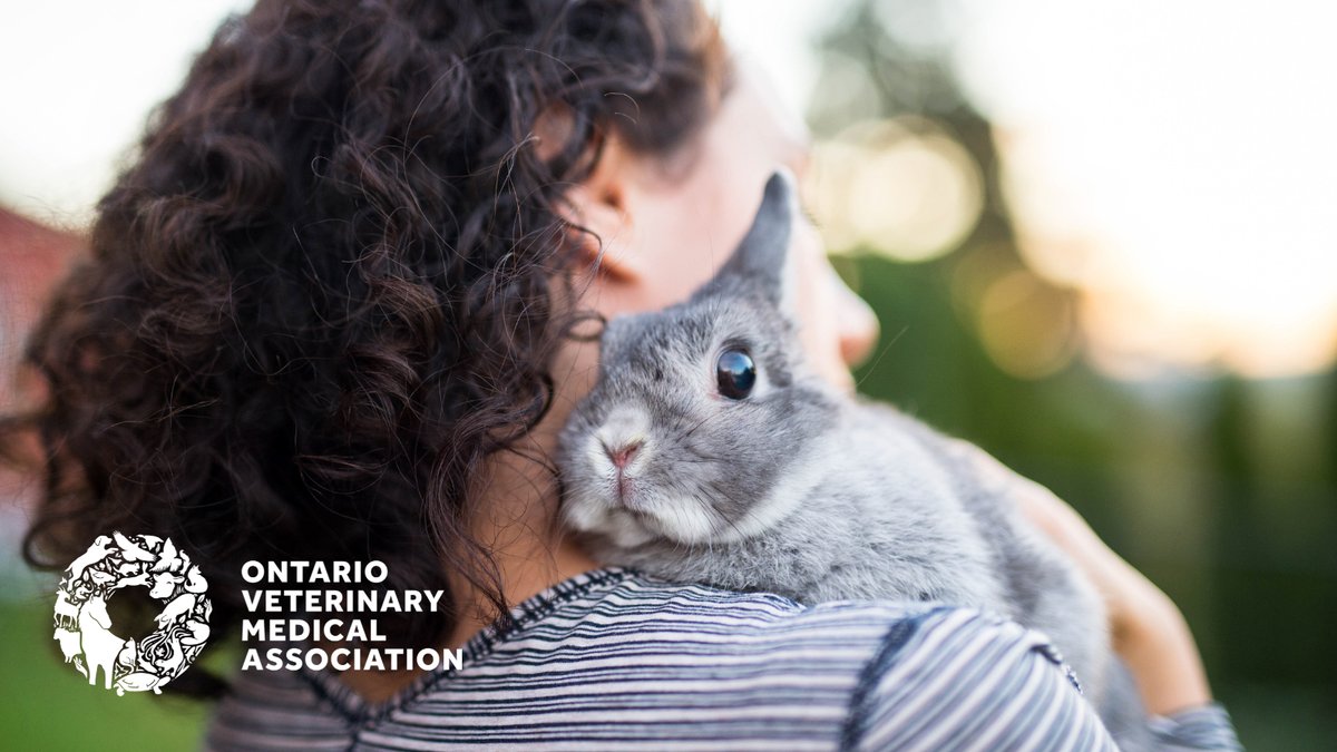 Companion animals play a big role in our lives, including making a positive impact on our overall health and well-being. This #NationalPetDay, like and share this post to help us recognize the pets that have filled our lives and hearts with so much joy!