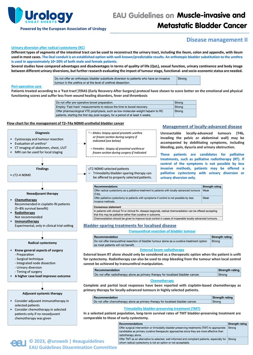 ❗ New Cheat Sheet on MIBC: Disease Management. It discusses various strategies for urinary diversion following radical cystectomy, highlighting the use of the ileum, colon, and appendix. Download here: uroweb.org/guidelines/mus… #EAUguidelines #BladderCancer