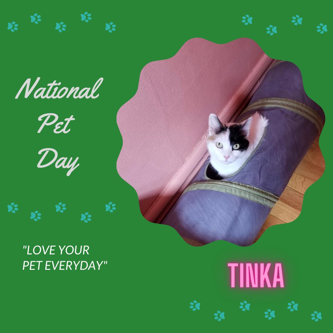 Let's show our appreciation for all the snuggles, the playtime, and the unconditional love that our pets have given us every single day. 

#NationalPetDay #LoveOurPets #FurFamily #AdoptDontShop #PetLove #PetAppreciation #AnimalCompanions #FurryFriends #UnconditionalLove