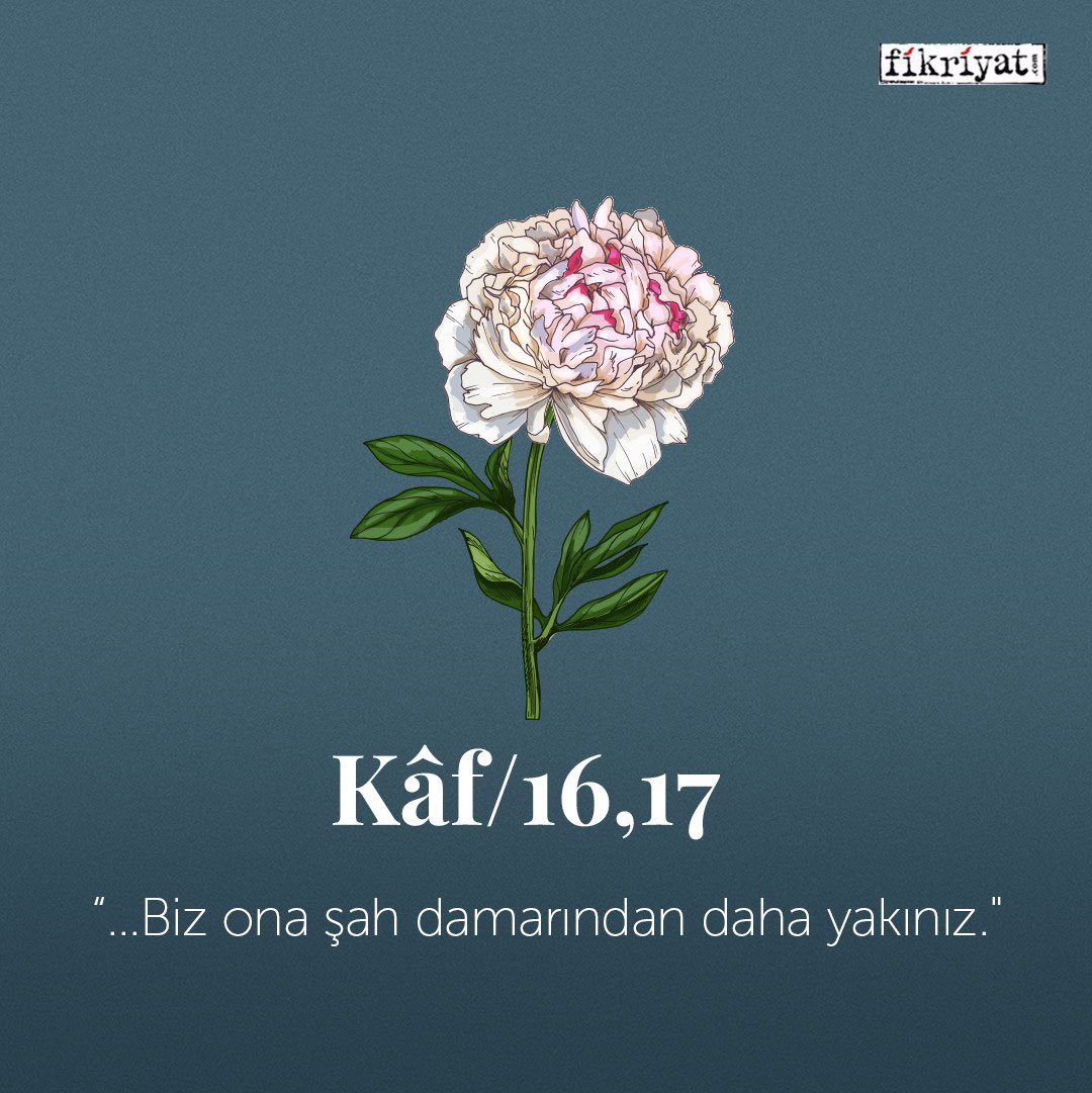 İnsanı biz yarattık ve elbette içinden geçenleri biliriz; sağında solunda oturmuş iki alıcı (yaptıklarını) alıp kaydederken biz ona şah damarından daha yakınız.

Kâf/16,17 🌺