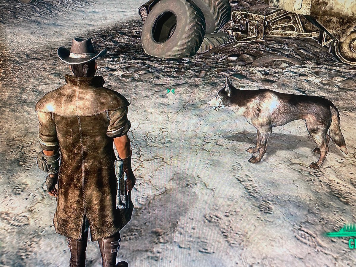 CowboySpace_'s tweet image. Do I have a common theme with my Fallout characters…? #Fallout #Fallout76 #FalloutRP #Fallout3 #Fallout4 #FalloutNewVegas