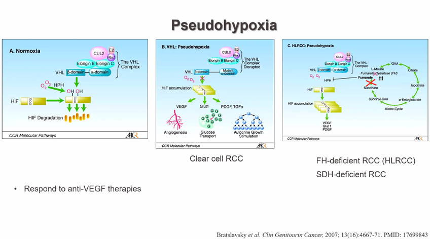 Samson W. Fine, MD (@rovingatuscap) on Twitter photo Dr. Pavlos Msaouel <a href="/PavlosMsaouel/">Pavlos Msaouel</a> <a href="/MDAndersonNews/">MD Anderson Cancer Center</a> presents HIF2alpha Inhibitors in the Management of #kidneycancer emphasizing variation among RCC subtypes #gupath at <a href="/GU_Path_Society/">GU Pathology Society (GUPS)</a> Virtual Education Series event HAPPENING NOW!!
<a href="/drmehrarohit/">ROHIT MEHRA</a> <a href="/manjuaron/">manju aron</a> <a href="/Shounak_Gupta/">Sounak Gupta</a> Dr. Pavlos Msaouel <a href="/PavlosMsaouel/">Pavlos Msaouel</a> <a href="/MDAndersonNews/">MD Anderson Cancer Center</a> presents HIF2alpha Inhibitors in the Management of #kidneycancer emphasizing variation among RCC subtypes #gupath at <a href="/GU_Path_Society/">GU Pathology Society (GUPS)</a> Virtual Education Series event HAPPENING NOW!!
<a href="/drmehrarohit/">ROHIT MEHRA</a> <a href="/manjuaron/">manju aron</a> <a href="/Shounak_Gupta/">Sounak Gupta</a>