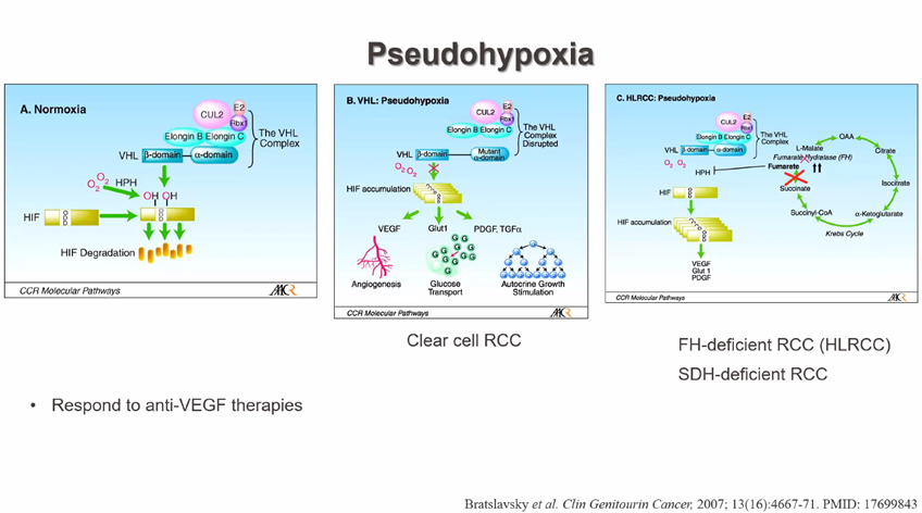 Dr. Pavlos Msaouel @PavlosMsaouel @MDAndersonNews presents HIF2alpha Inhibitors in the Management of #kidneycancer emphasizing variation among RCC subtypes #gupath at @GU_Path_Society Virtual Education Series event HAPPENING NOW!! @drmehrarohit @manjuaron @Shounak_Gupta