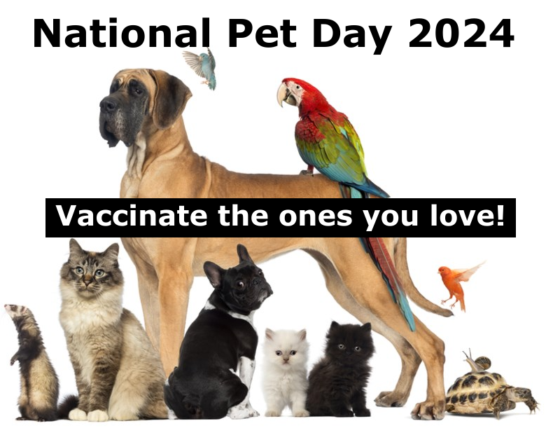 Happy National Pet Day!

Disease affects all of us. Protect the ones you love.

#PreventDisease #vaccinate #PetLove #AnimalCompanions