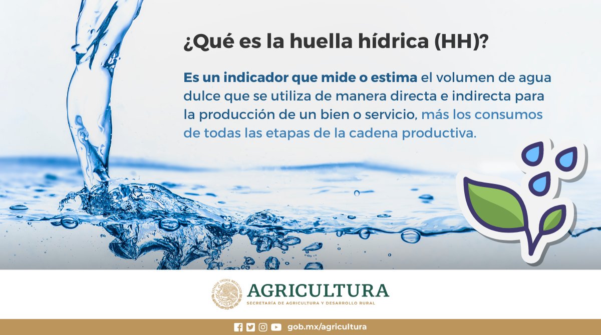 La huella hídrica mide el volumen total de agua utilizado en la obtención de bienes y servicios. Este recurso es vital para el sector primario por su uso para la producción de alimentos. 🌊💧 ¿Quieres conocer cómo impacta en los cultivos? ➡️Da clic aquí: bit.ly/3vPiRXA