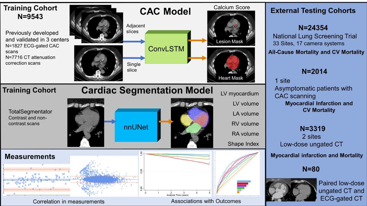 Mortality can be predicted from cardiac chamber and myocardial volumes derived from non-contrast ungated lung CT, coronary calcium CT, and CT attenuation scans. Adds significant information over calcium. All automatically processed by AI (18 sec per case). Nature Communications