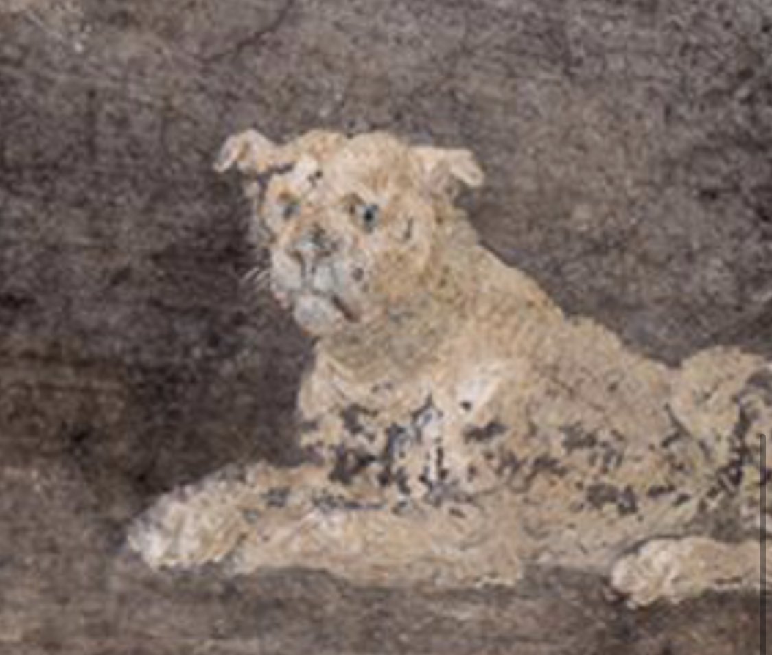 This dog in those frescos they’ve discovered in Pompeii is my spirit animal!