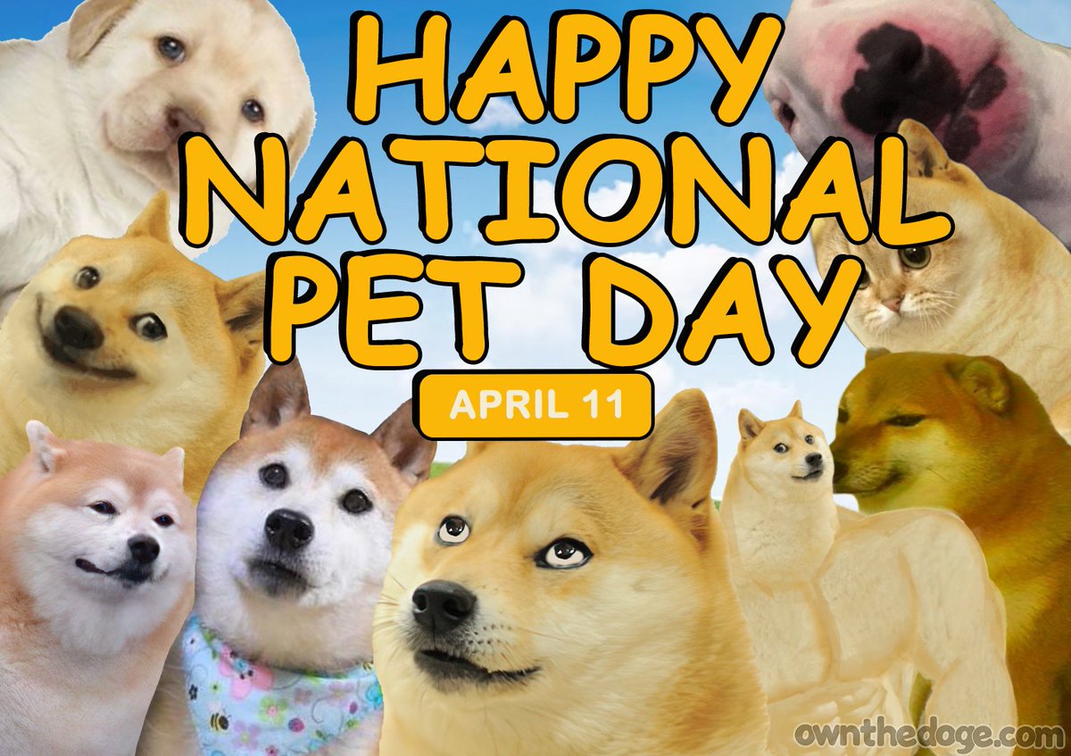 Take your furry frens for a treat today💖