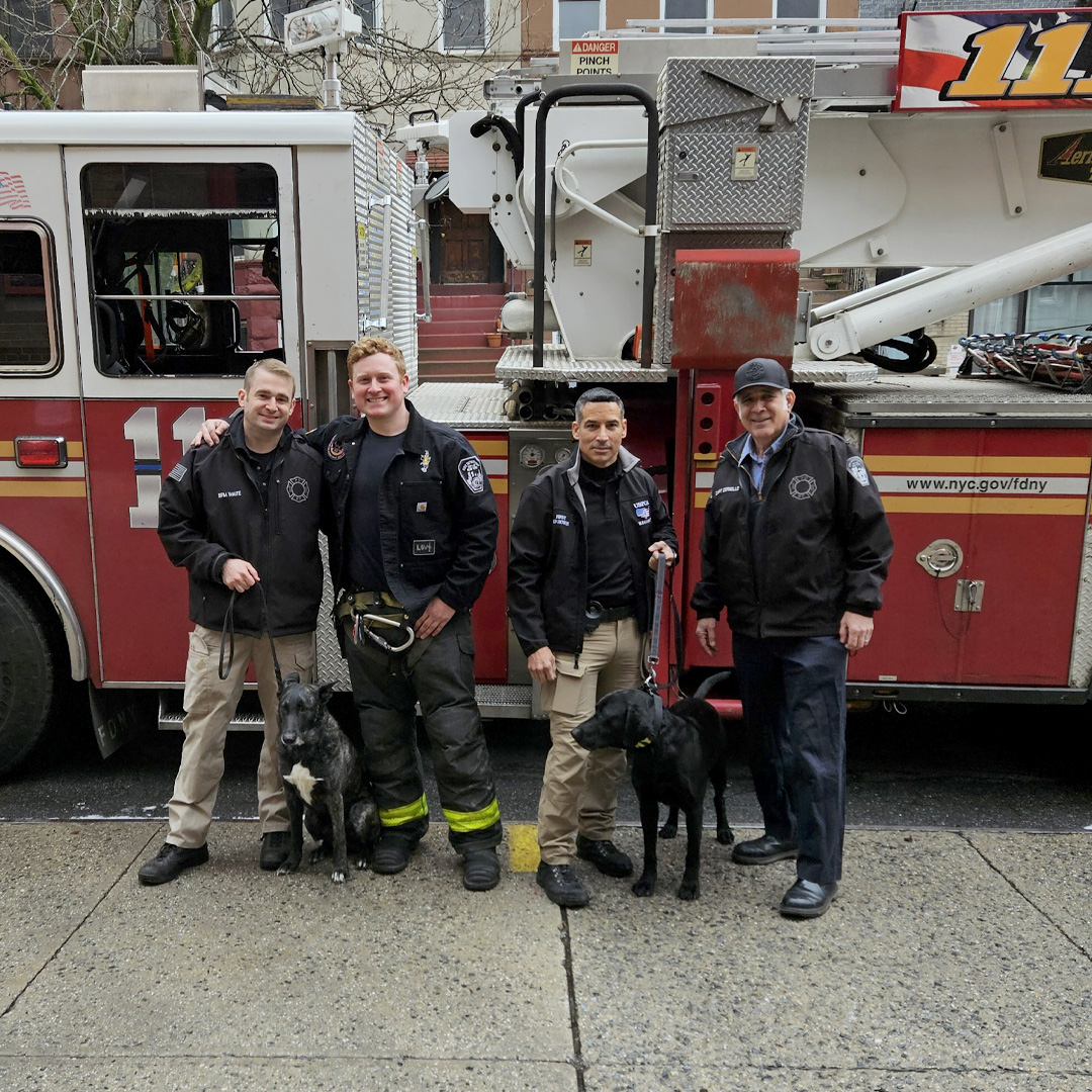 The FDNY K-9 Climb Team is once again proud to join the 2nd Annual @FDNYFoundation Climb to the SUMMIT. The FDNY K-9 Unit plays a crucial role in accelerant detection for the Bureau of Fire Investigations.